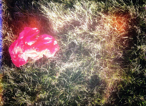 bright pink trash on grass