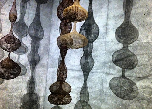 wire sculptures by Ruth Asawa